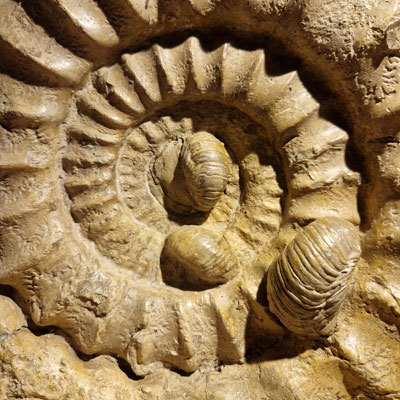 HBO Aarde, Data-analyse & Visualisatie